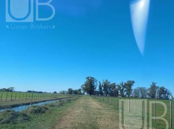 Campo · 120000m² · Campo en Saladillo