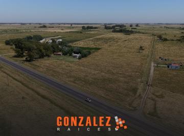Campo · 270000m² · 2 Ambientes · Campo en Venta - 27 Ha Sobre Ruta