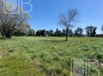 Campo · 4877m² · Campo en Saladillo