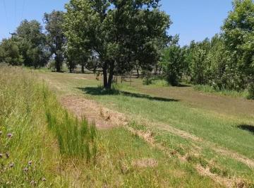 Campo · 10000m² · Campo en Granadero Baigorria