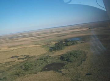 Campo · 18700000m² · Campo en Ituzaingó