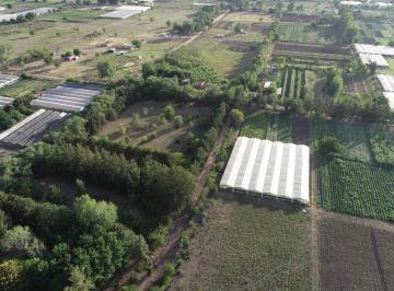 Terreno · 700m² · Terreno en Venta - 700 m² - Las Casuarinas, Abasto, La Plata