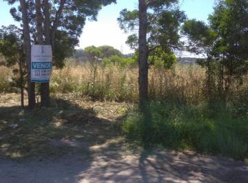Terreno · 397m² · Lote en Venta - Bo Los Acantilados
