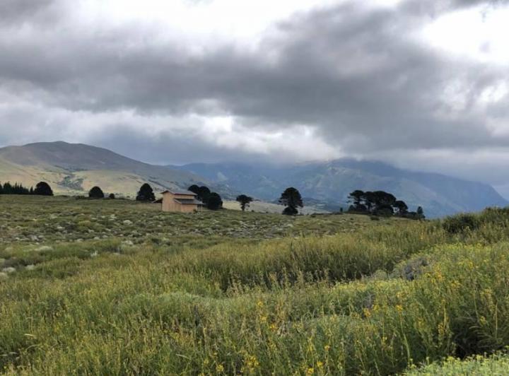 Terreno · 4500m²