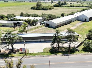 Bodega-Galpón · 5900m² · Galpón en Alquiler, Centro Logístico Alvear.