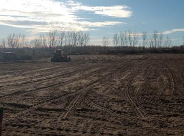 Terreno · 10000m² · Terreno 1 Ha