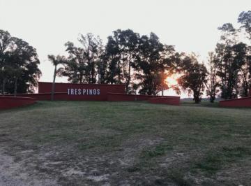 Terreno · 1772m² · Terreno en Venta - 1.772 m² Totales - Los Tres Pinos