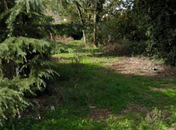 Terreno , Mar del Plata · Las Margaritas