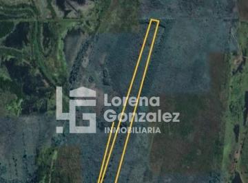 Campo · 150000m² · 1 Ambiente · Campo en Entre Rìos 15 Hectáreas
