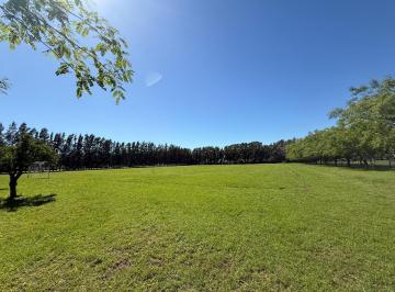 Terreno · 1000m² · Terreno en Venta - Azahares del Parana