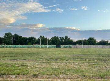 Terreno · 300m² · Terreno en Venta - Naranjo 1, Ibarlucea