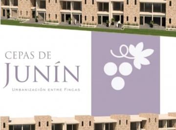 PH de 4 ambientes, Junín · Dúplex a Estrenar en Barrio Privado. Cuotas + Entrega Pactada - Cepas Junin