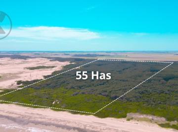 Campo · 550000ha · Campo en Mar del Plata