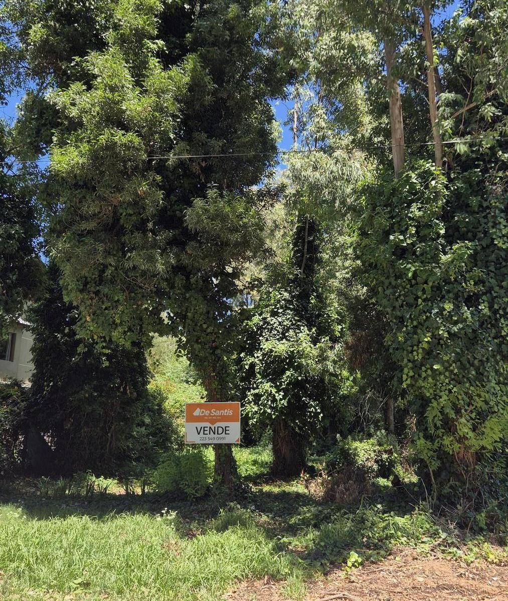 Lote de 450 m² ubicado en el Bosque Peralta Ramos