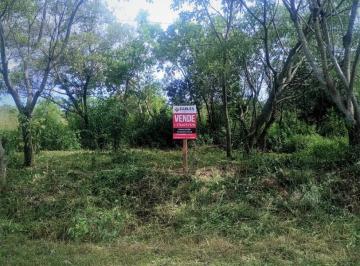 Terreno · 9883m² · (V510) Hermosa Hectárea en Nemesio Parma