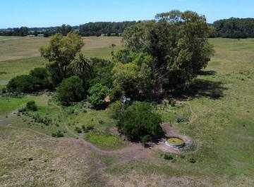 Campo , Punta Indio · Fracción de 5,5 Hectáreas con Molino, Ubicada en Punta Indio Excelente Ubicación