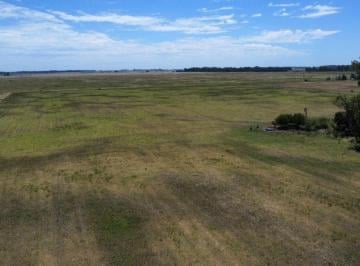 Campo , Punta Indio · Fracciones de 5,5 Hectáreas Ubicadas en Punta Indio