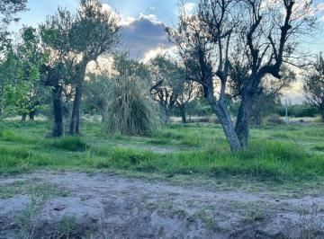 Terreno , Lunlunta · Rt Propiedades Vende Lote en Lunlunta - Maipu - Provincia de Mendoza