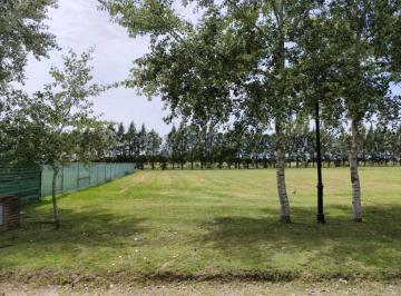 Terreno · 1000m² · Venta Lote 1000 m² en Haras del Sur 3