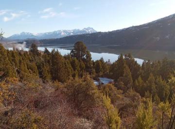 Campo · 10000m² · Chacra 1 Hectárea Cholila Todos Los Servicios Usd 49.000