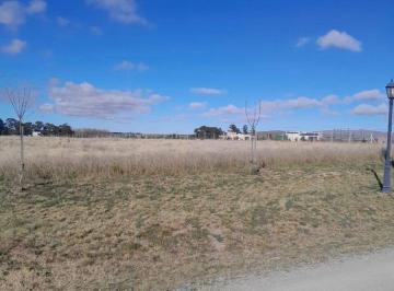 Terreno , Tornquist · Terreno / Lote en Venta de 1600 m² Ubicado en Sierra de La Ventana