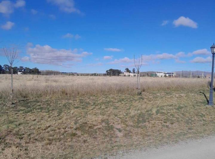 Terreno · 1600m²