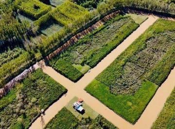 Terreno · 1142m² · Lote en Venta en El Barrio Nautico Albardon Oportunidad