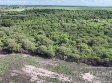 Campo · 250ha · 5 Ambientes · Campo en Venta 6600 Has en Santa Fe