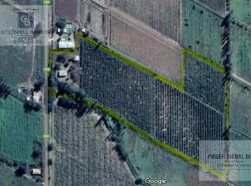 Campo · 190m² · 5 Ambientes · Finca Villa Atuel - San Rafael