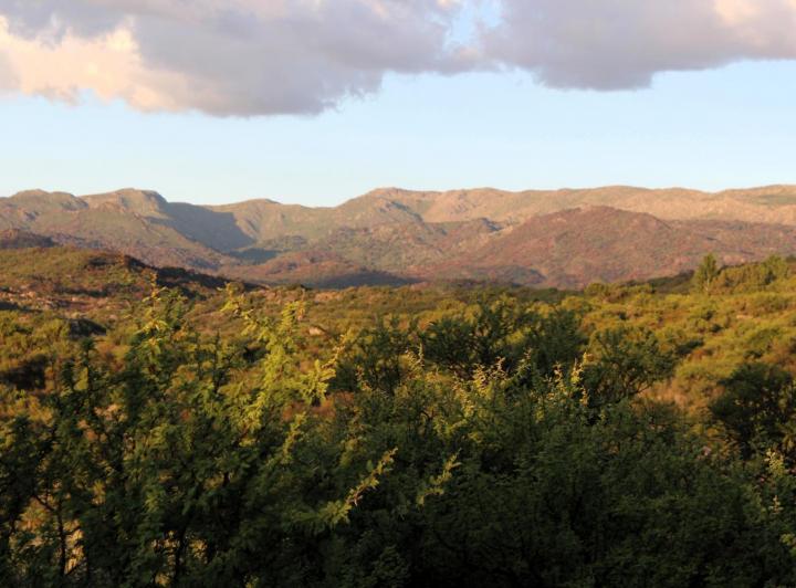 Terreno · 1532m²
