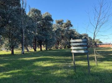 Terreno · 949m² · Terreno de 900 m² en Torres, Lado Bueno.