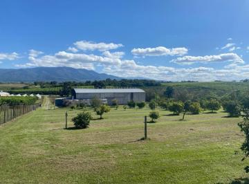 Terreno · 1000m² · Alquiler de Predio con Galpón - Los Nogales Tucumán