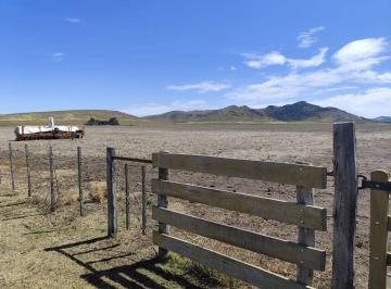Terreno , Tornquist · Venta de Campo Agricola Ganadero en Tornquist
