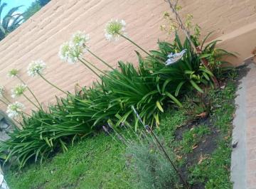 PH de 3 ambientes, Santa Clara del Mar · PH en Venta