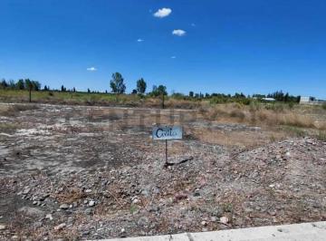 Terreno · 237m² · Venta de Lote en Rivadavia, Mendoza.