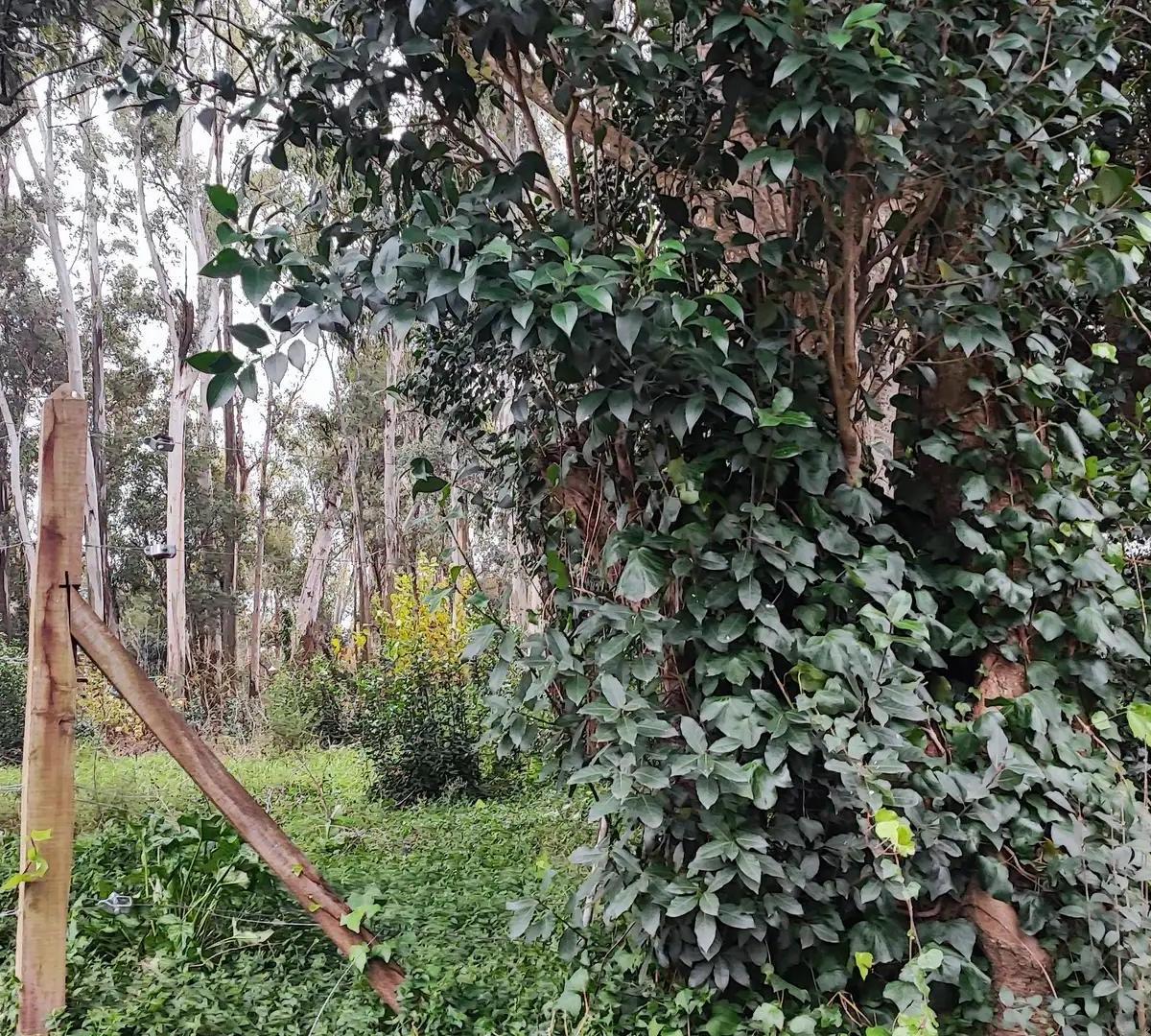 Camino General Belgrano 700, Villa Elisa, La Plata