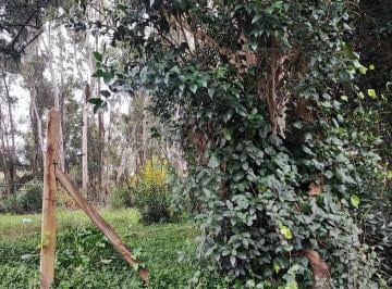 Terreno , La Plata · Lote en Venta en Villa Elisa - Excelente Ubicación y Alto Potencial Comercial