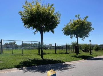 Terreno · 556m² · Lote Central en Venta en San Pablo, Pilar | Excelente Ubicación