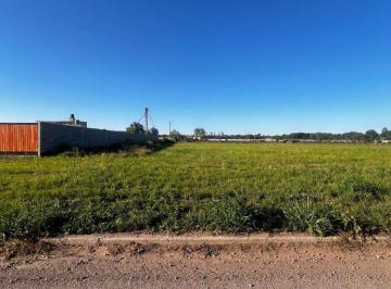 Terreno · 736m² · Venta de Lote en Colonia Tirolesa