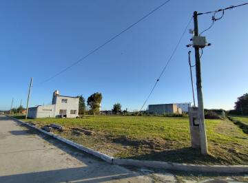 Bodega-Galpón · 220m² · Galpón C/ Oficinas y V/ Dependencias en Parque Industrial