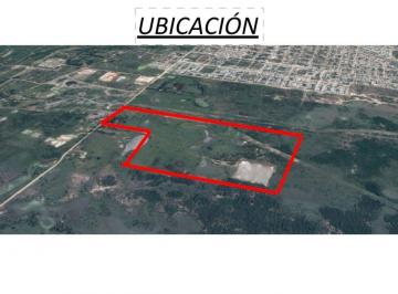 Campo , Goya · Venta Campo en Goya Corrientes, 55 Hectáreas, Lindero a Zona Urbana de La Ciudad. Ideal Desarrollo.