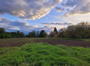 Terreno · 10000m² · Una Hectárea en Camino Los Nogales - El Bolsón