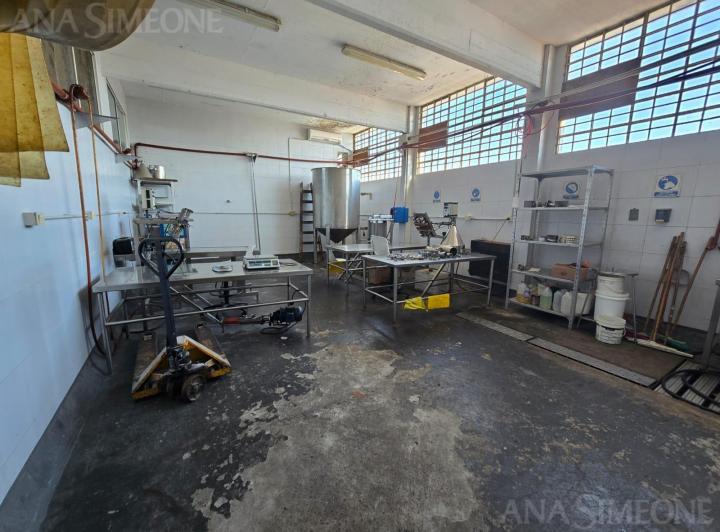 Bodega-Galpón · 670m²