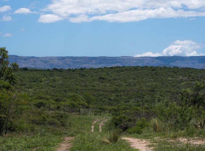 Terreno · 600m²