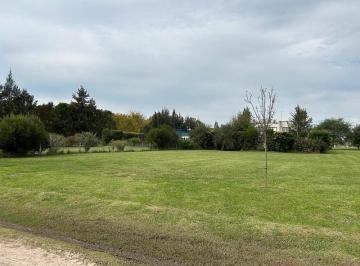 Terreno · 800m² · Lote de 800 m² Oportunidad en Barrio Santo Domingo. Canning - San Vicente - Presidente Perón.