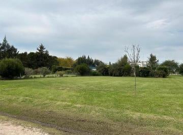 Terreno · 800m² · Lote de 800 m² Oportunidad en Barrio Santo Domingo. Canning - San Vicente - Presidente Perón.