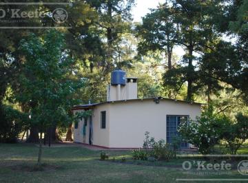 Casa · 70m² · Casa en Venta en El Pato - Berazategui