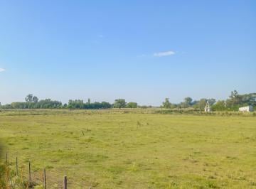 Terreno · 629m² · Terreno en Venta - 629,25 m² - Carmen de Areco