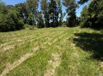 Terreno , Exaltación de la Cruz · Venta - Lote de 2.850 m - Barrio Los Pinos - Exaltación de La Cruz