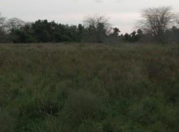 Terreno , Punta Indio · Terreno de 10900 m² en Venta en Álvarez Jonte